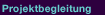 projektbegleitung